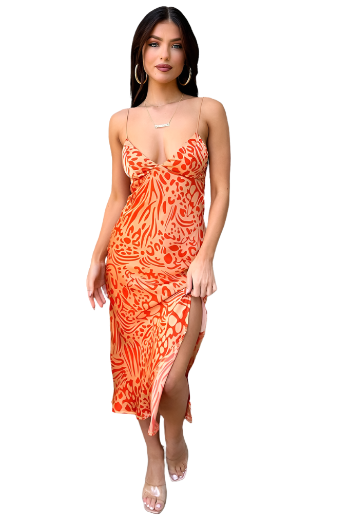 Women Bodycon Multicolor Dress