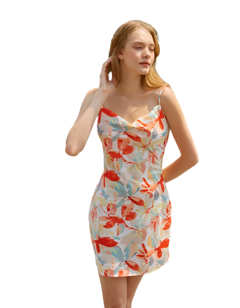 Women Bodycon Multicolor Dress