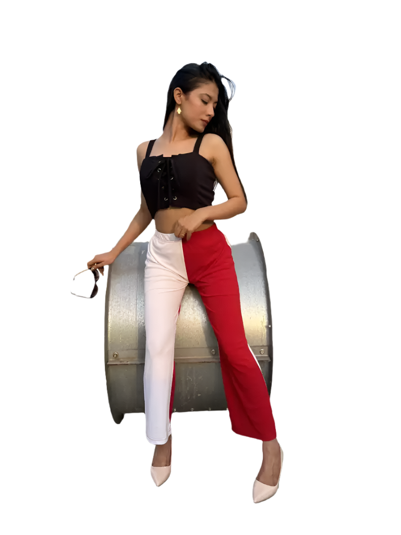 Stacked Flame Regular Fit Women Multicolor Lycra Blend Trousers