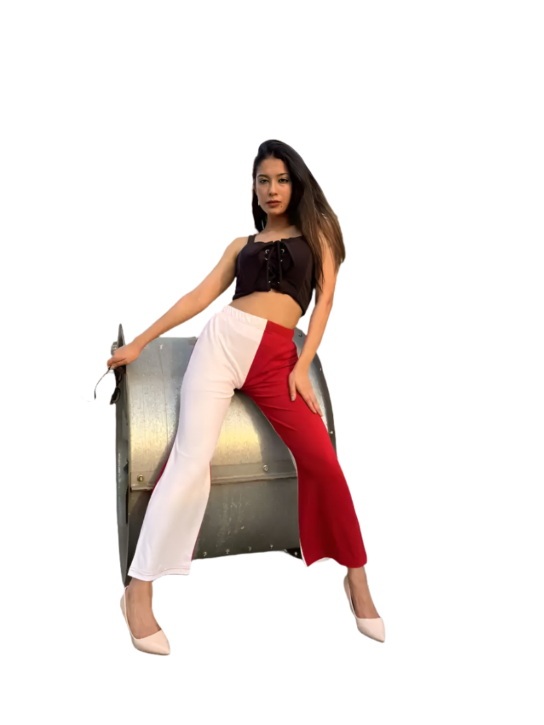 Stacked Flame Regular Fit Women Multicolor Lycra Blend Trousers