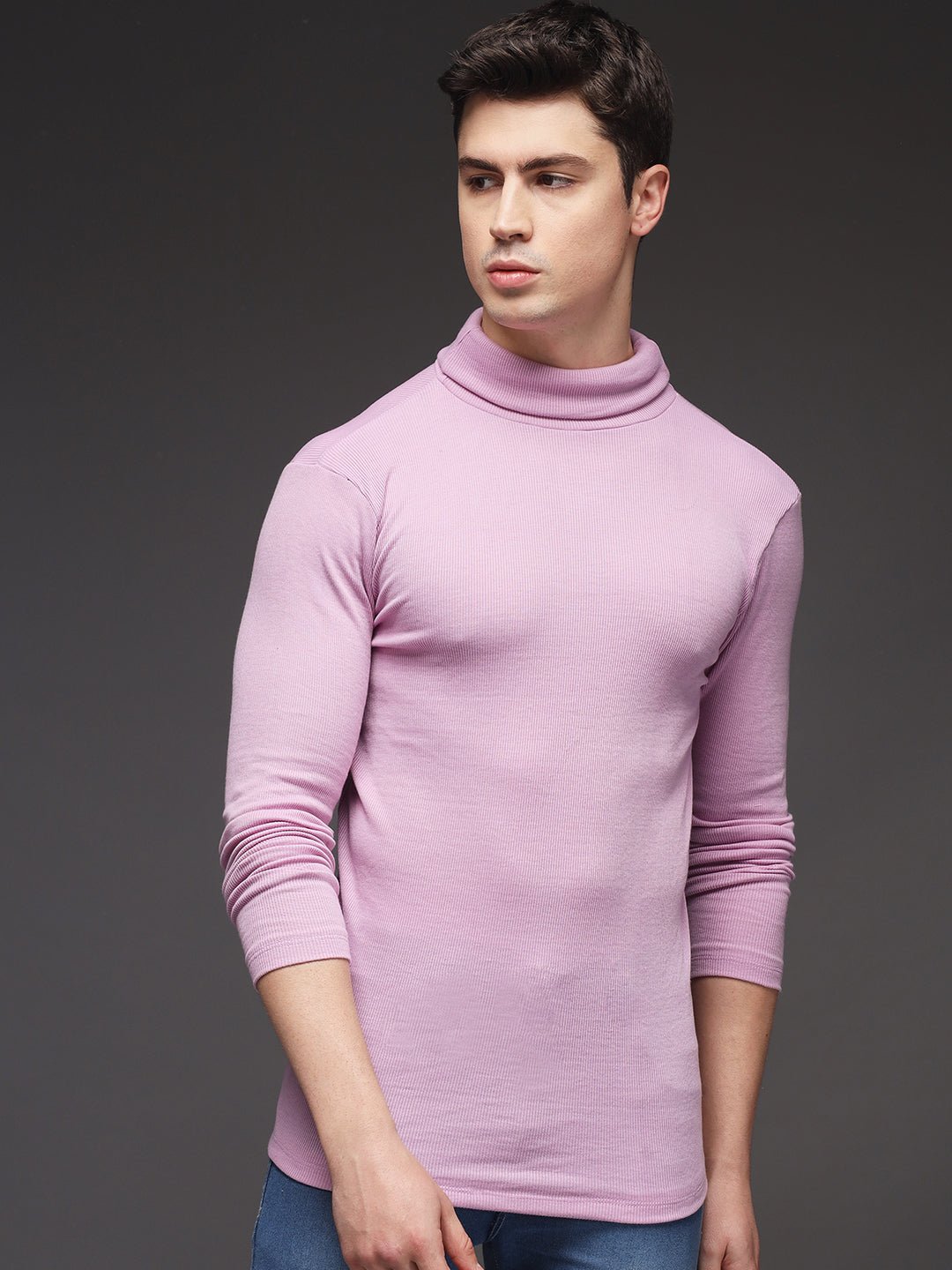 TANDUL Men Solid Turtle Neck Purple Sweater