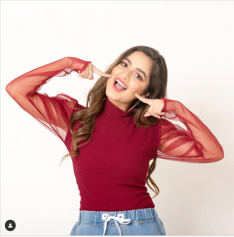 TANDUL INSTA  Casual Puff Sleeves Solid Women Maroon Top